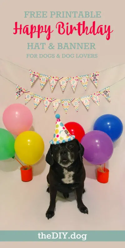 Printable Dog Birthday Hat and Banner