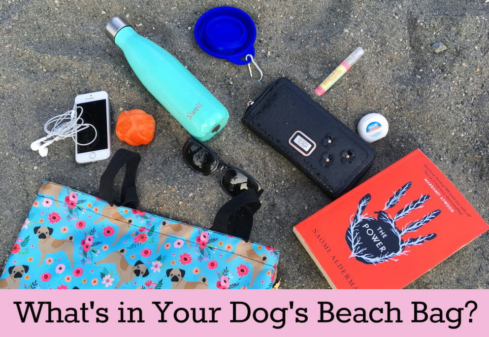Dog Beach Bag | diy dog blog - kols notes