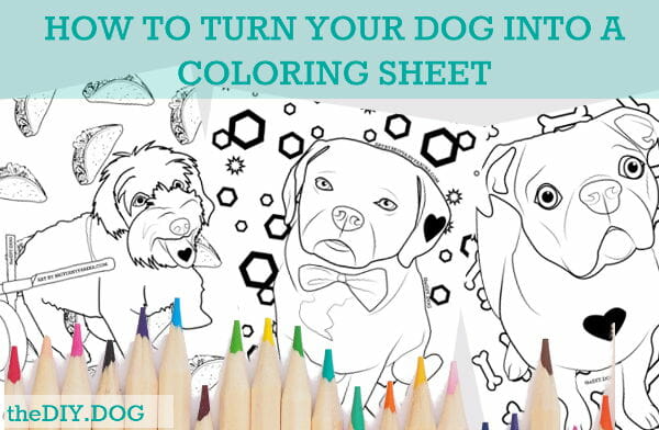 Dog Coloring Pages | diy dog blog - kols notes