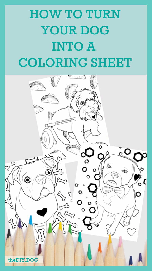 Dog Coloring Sheets | diy dog blog - kols notes