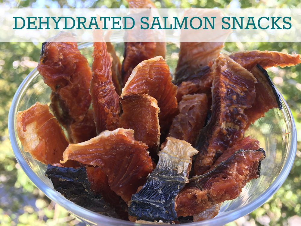 Salmon Dehydrator Dog Treats | diy dog blog - kols notes