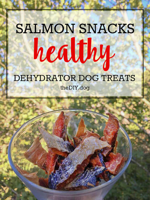 Salmon Dehydrator Dog Treats | diy dog blog - kols notes