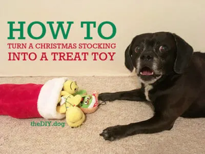 Christmas Stocking DIY Dog Treat Toy | Kol's Notes - the DIY Dog