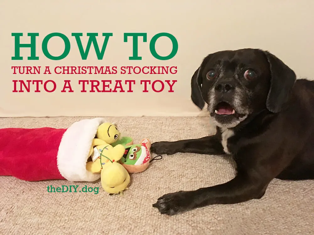 DIY Christmas Stocking Dog Toy - Swoodson Says