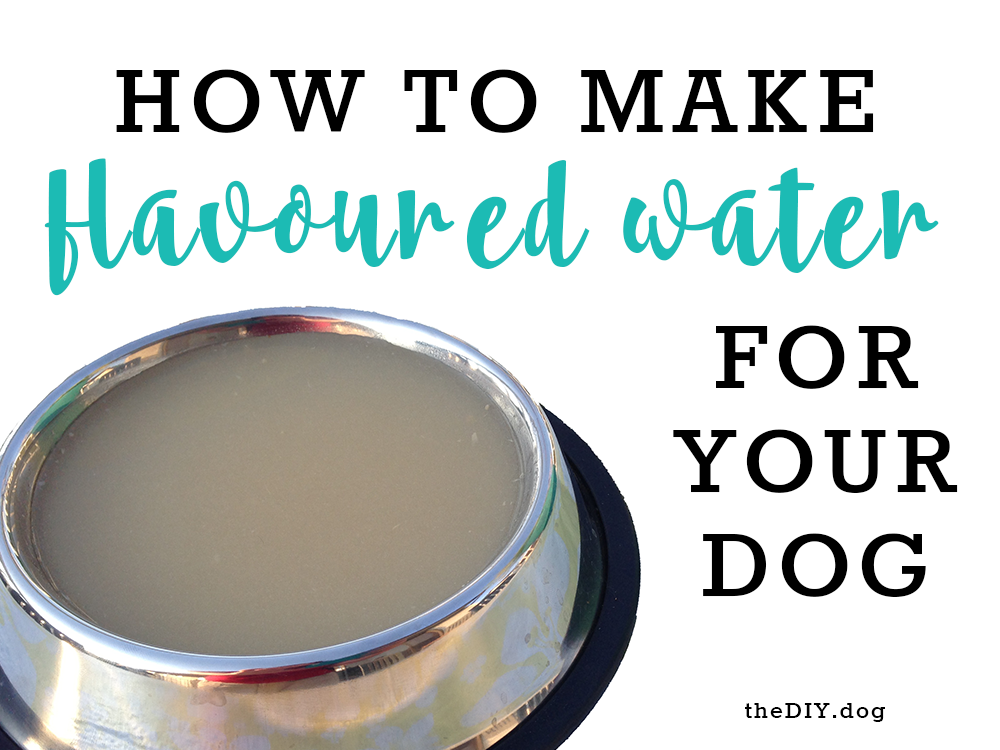 how to make flavored dog water