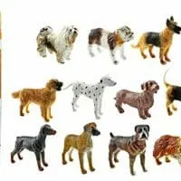 Safari Ltd. Dogs TOOB with 11 Hand Painted Toy Figurines Including A Dachshund, Dalmatian, Retriever, Sheepdog, Collie, Shepherd, Beagle, Boxer, Great Dane, Doberman, and Bulldog for Ages 3 and Up