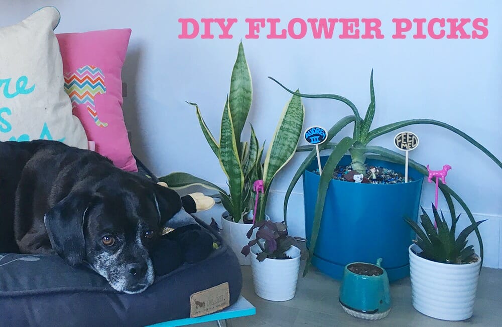 DIY Flower Picks for Dog Lovers