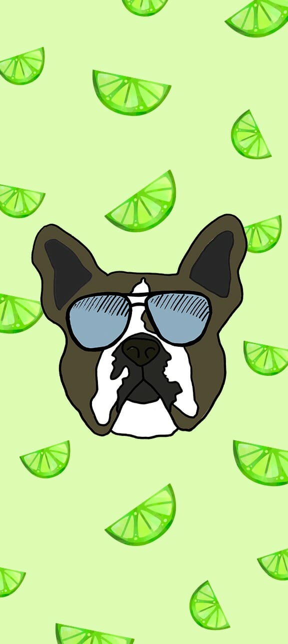Bright & Fun Summer Puppy Wallpapers for Your Phone - Kol's Notes