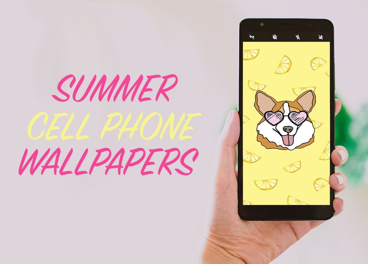 Bright & Fun Summer Puppy Wallpapers for Your Phone