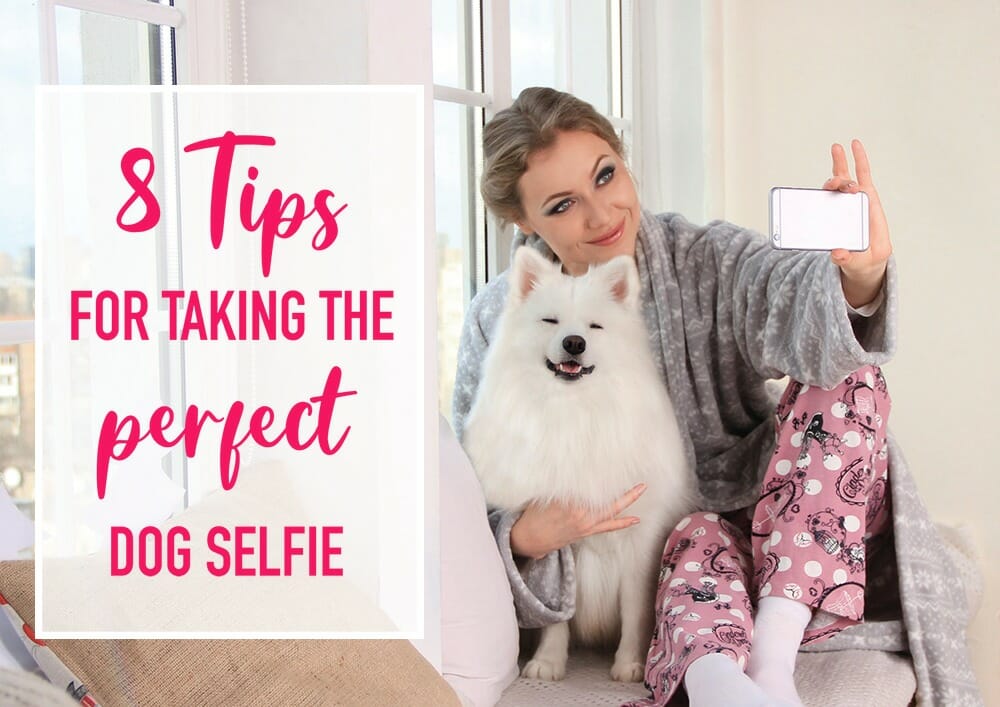 8 Tips for Taking a Great Dog Selfie on #NationalSelfieDay
