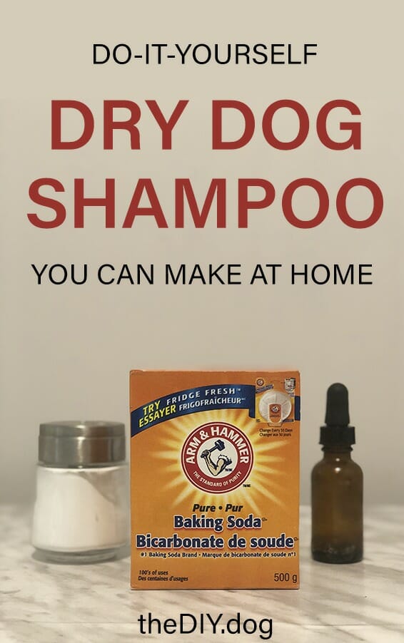 homemade dry dog shampoo