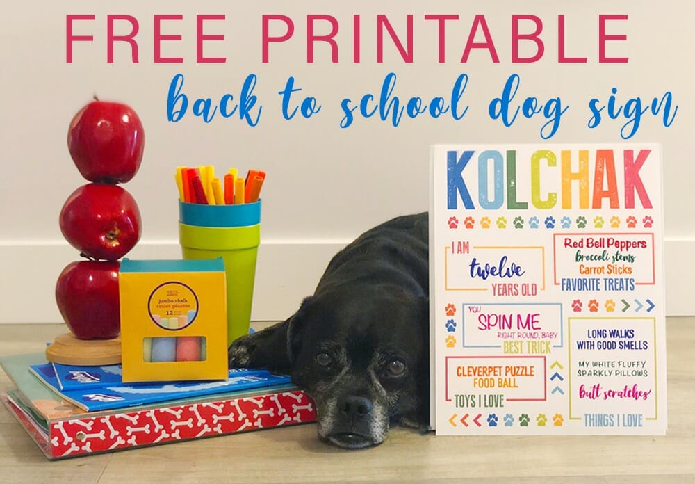 Free Printable Back to School Sign for Dogs