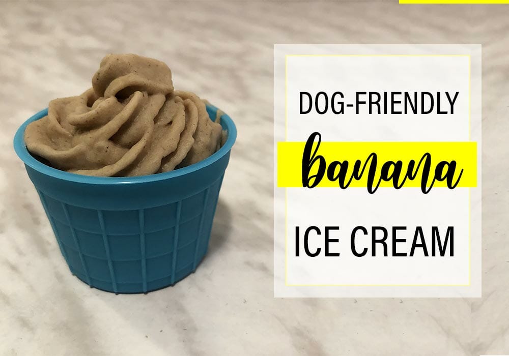 Dog-Friendly Banana Ice Cream