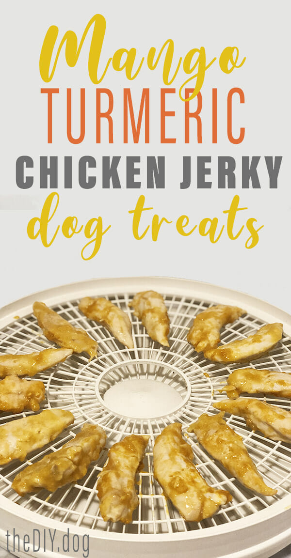 pieces of marinated chicken breast tenders lay on a white plastic dehydrator tray. Text says: Mango Turmeric Chicken Jerky Dog Treats