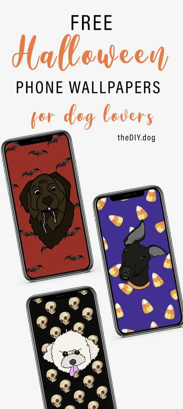 Free Spooky Halloween Puppy Wallpapers for Your Phone - Kol's Notes