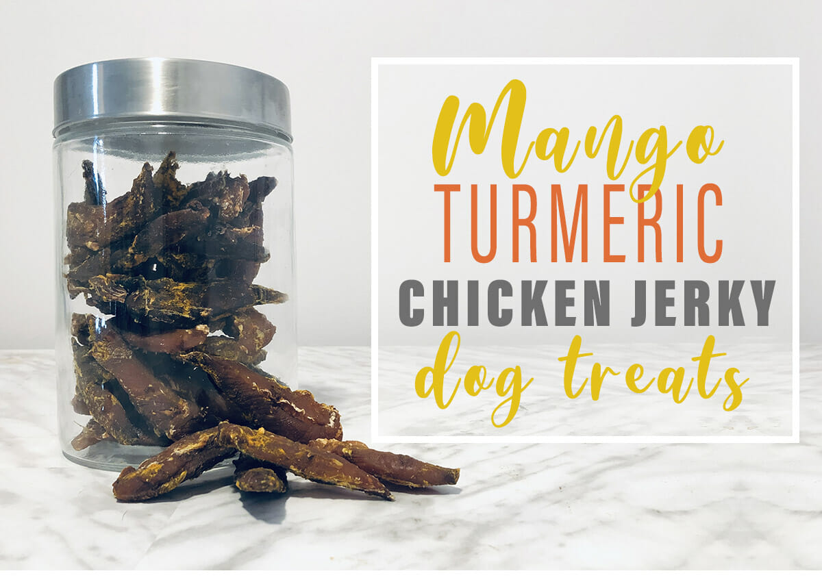 Mango Turmeric Chicken Jerky Dehydrator Dog Treats