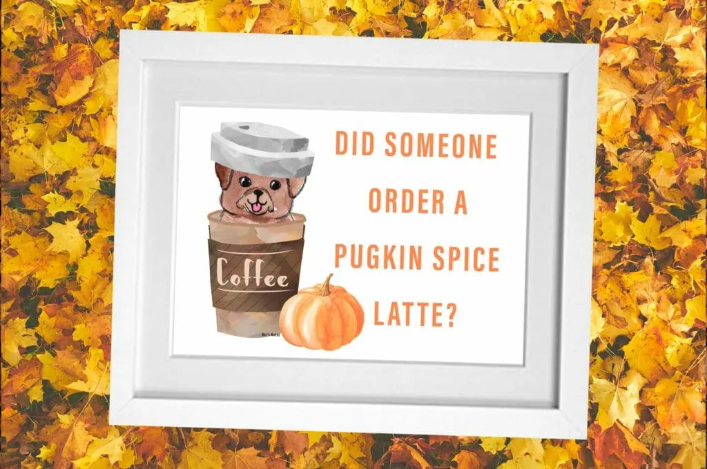 a white frame on a background of fall leaves. Inside the frant is a watercolour illustration of a dog in a paper coffee cup next to a pumpkin. Text reads: "Did someone order a pugkin spice latte?"