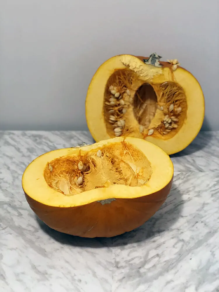A whole pumpkin cut on half exposing the seeds inside   | by The DIY Dog