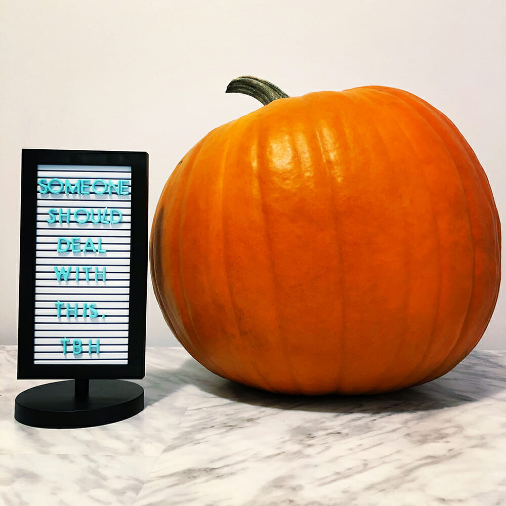 a whole pumpkin with a letter board sign that says "someone should deal with this, TBH" | The DIY Dog