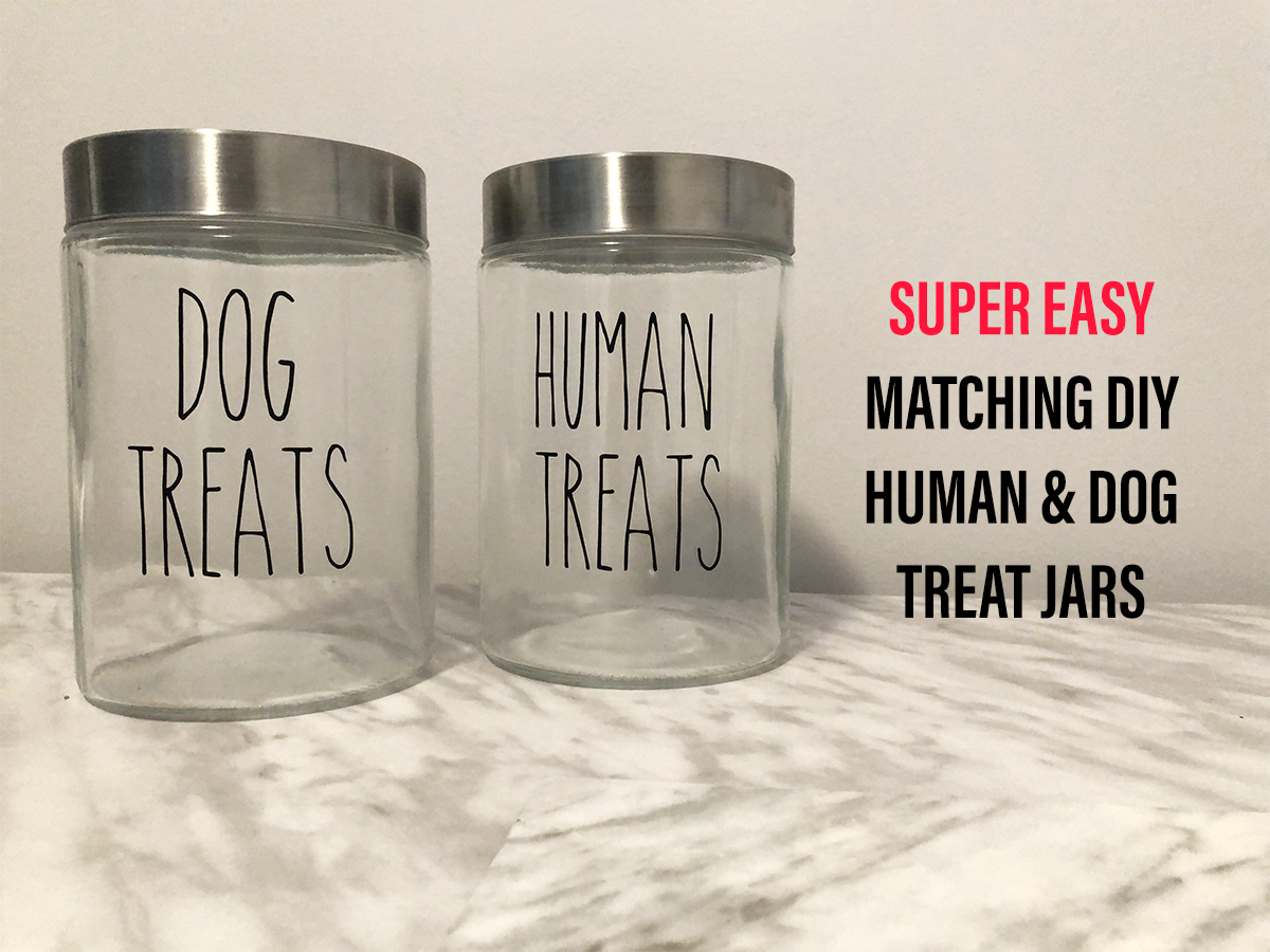 Super Easy Matching DIY Human & Dog Treat Jars