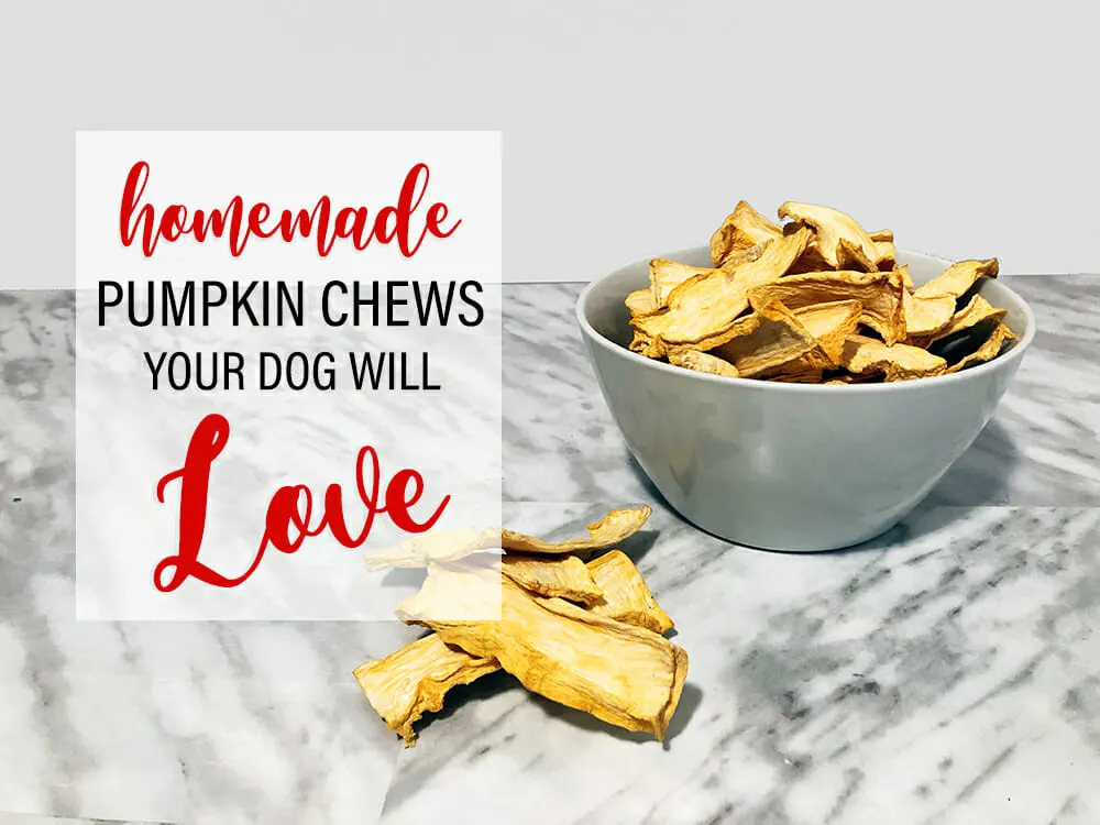 strips of dehydrated pumpkin are displayed in a white bowl on a marble table. Text says: how to make homemade dehydrated pumpkin chews your dog will love