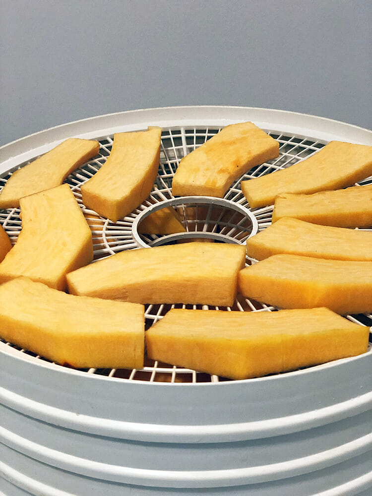 thick cut slices of fresh pumpkin in a dehydrator being made into homemade dog treats