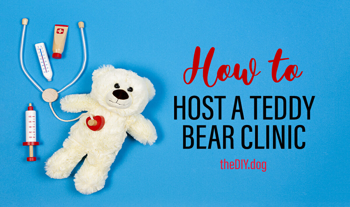 How to Host a Teddy Bear Clinic Event to Promote Responsible Pet Ownership in Children