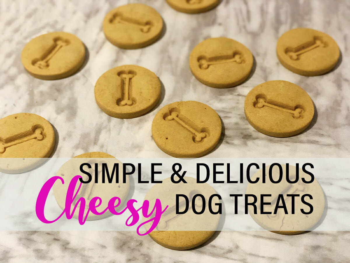 Simple & Delicious Homemade Cheesy Dog Treats Your Pooch Will Go Wild for