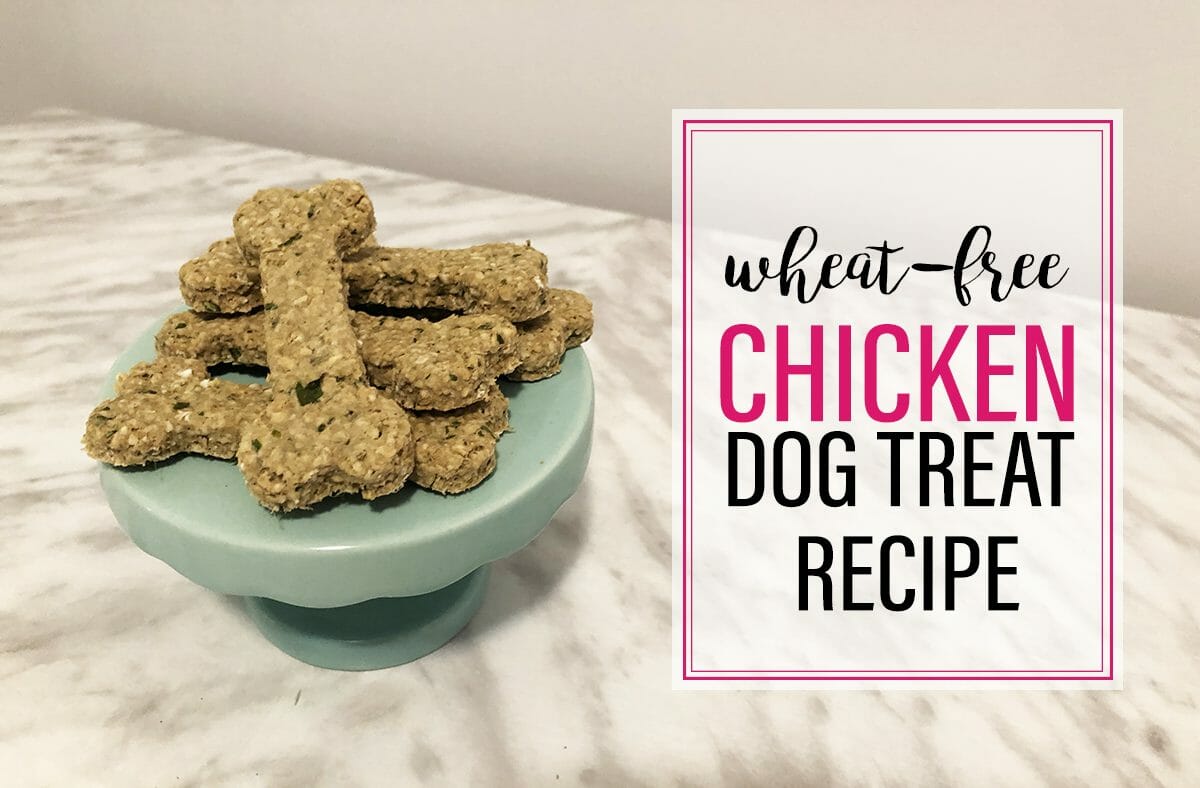 The Wheat-Free Chicken & Herb Dog Treat Recipe Your Dog Will Do Tricks For