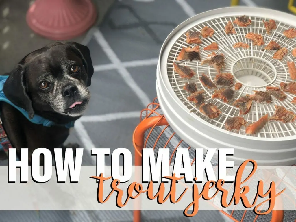 A black puggle with his tongue out stares intently at a dehydrator filled with small trout jerky pieces. Text says: How to make trout jerky