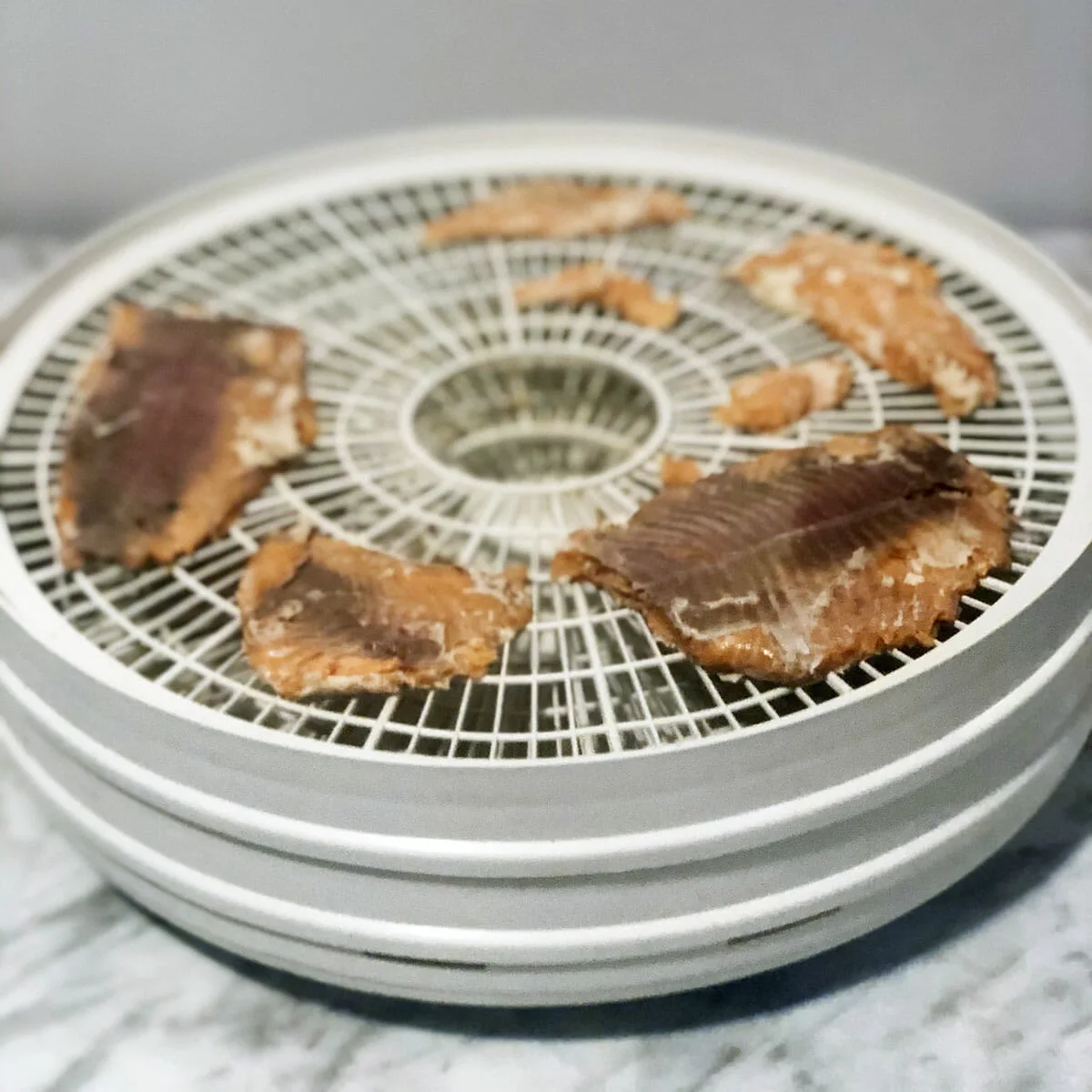 a food dehydrator filled with small pieces of trout jerky sits on a marble table