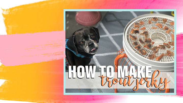 Homemade Trout Jerky Dog Treat Recipe