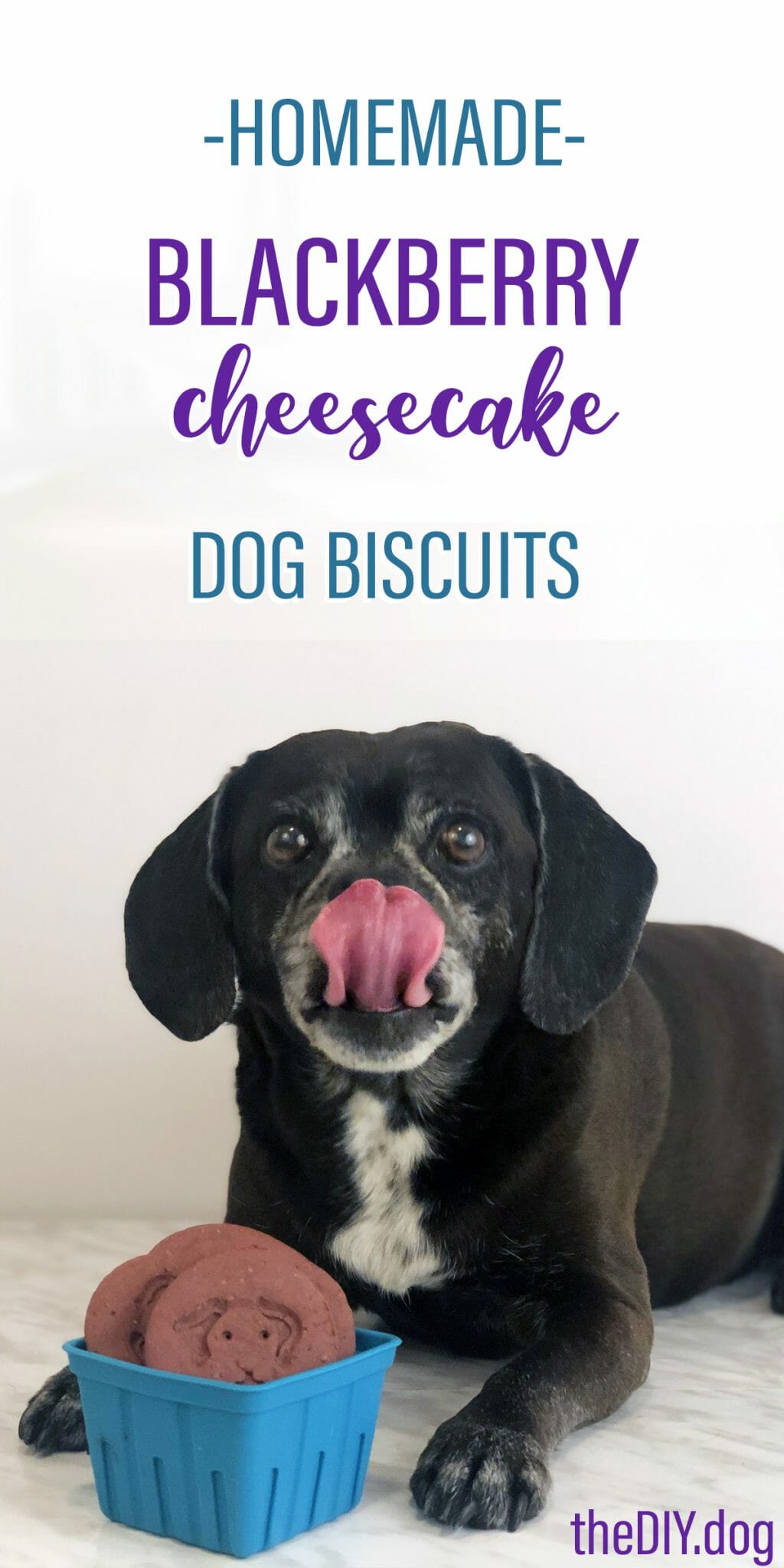 a black dog licking his lips with a basket of blackberry cheesecake dog treats