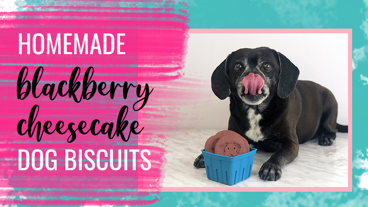 These Homemade Blackberry Cheesecake Biscuits are the Perfect Summer Dog Treat