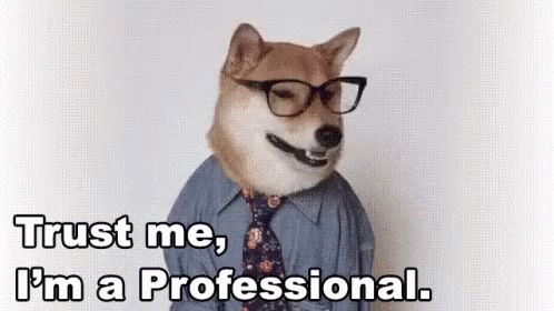 a gif of a shiba inu dog in glasses. Text says: "Trust me. I'm a professional"
