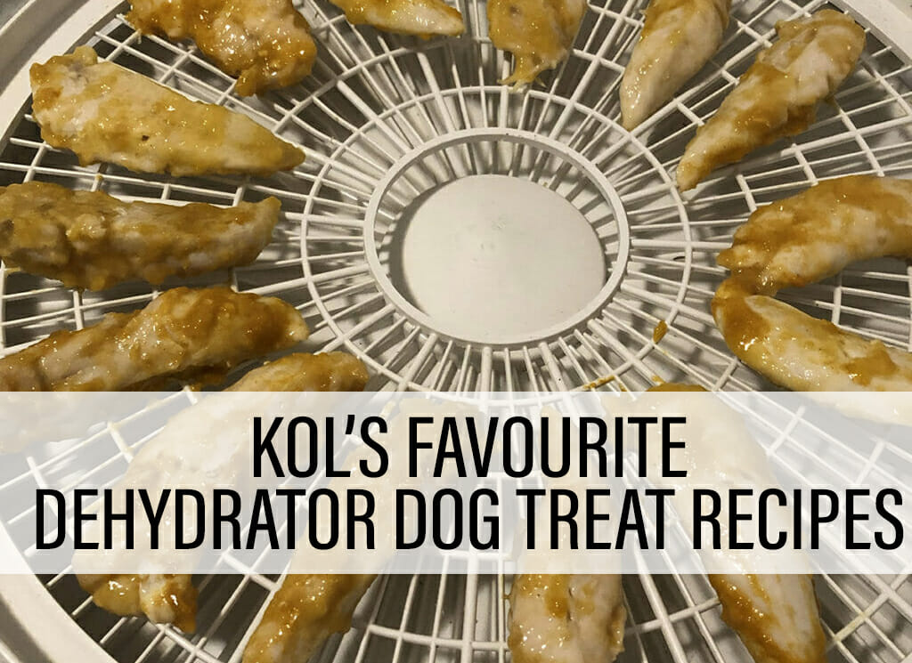 a white plastic dehydrator tray filled with chicken breast. Text says: Kol's favourite dehydrator dog treat recipes
