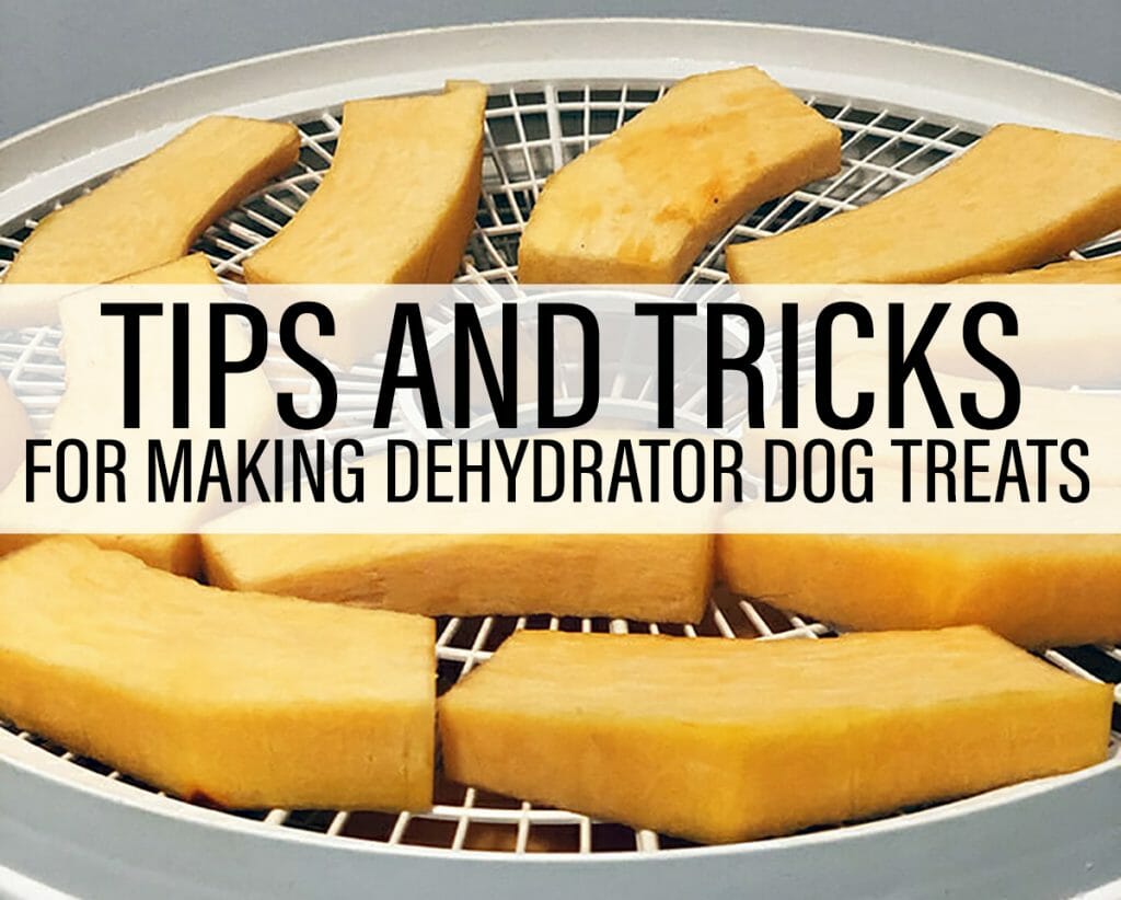 a white tray of thin sliced pumpkin pieces. Text says: Tips and tricks for making dehydrator dog treats