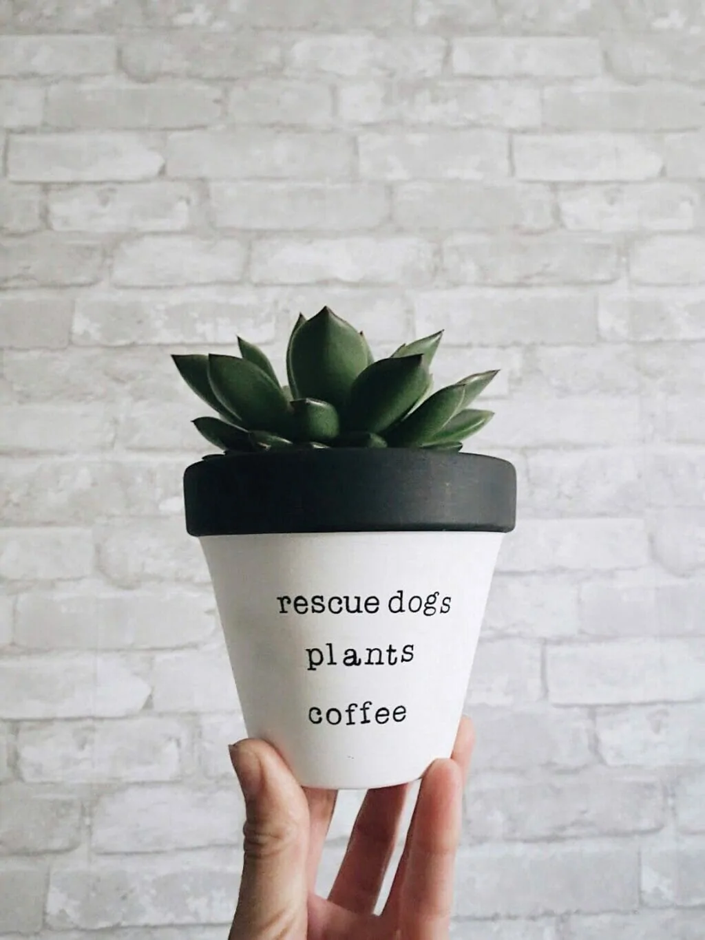 a hand is holding up a painted white terracotta pot with a black rim says :rescude dogs. plants. coffee." against a grey brick background