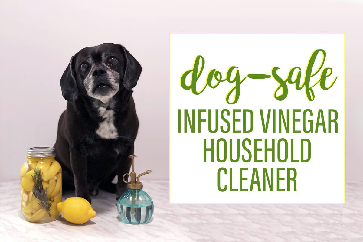 My All-Time Fav Dog-Friendly DIY All-Purpose Home Cleaning Spray
