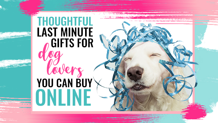 Awesome, thoughtful Last-Minute Dog Lover Gifts That You Can Order Online