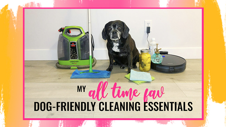 Dog-Friendly Cleaning Products & Tools I Use All the Darn Time