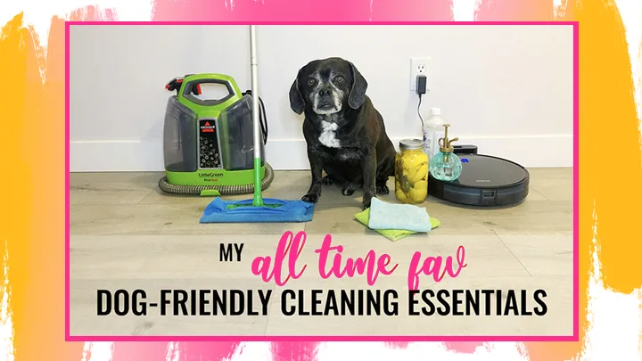 Dog-Friendly Cleaning Products & Tools I Use All the Darn Time - Kol's Notes