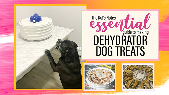 the Kol’s Notes Essential Guide to Making Dehydrator Dog Treats at Home
