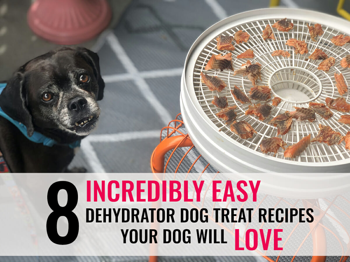 8 Incredibly Easy Dehydrator Dog Treats That Your Dog Will Love