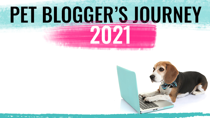 Pet Blogger’s Journey: the Evolution of Kol’s Notes