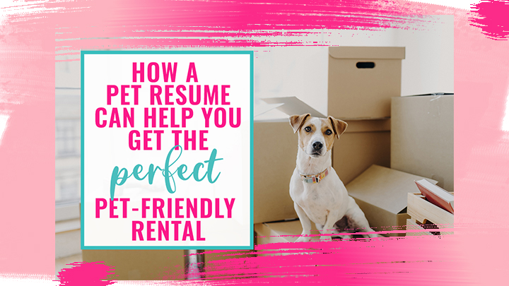 How to Use Dog Resume to Showcase What an Amazing Pet-Friendly Renter You Are