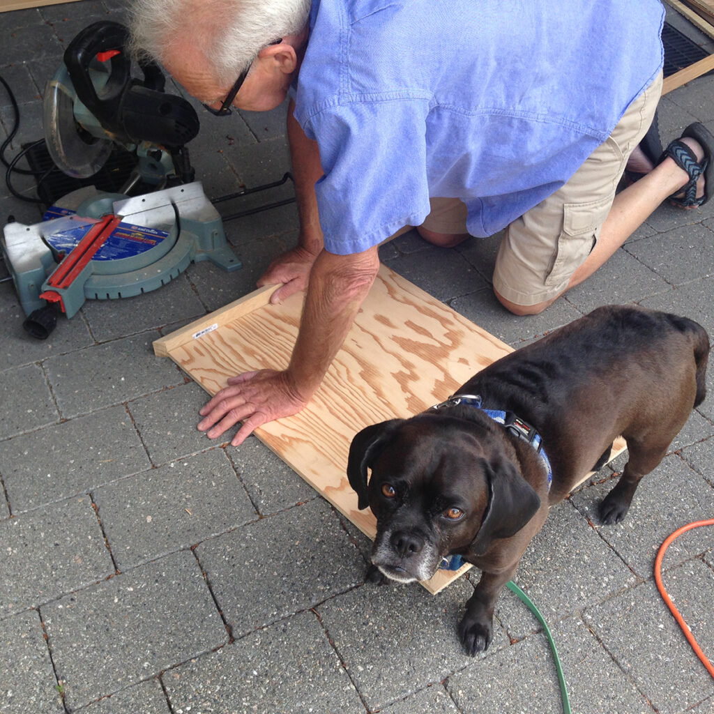 dog grandad cuts wood to make a DIY dog bed while a black puggle scowls at the camera