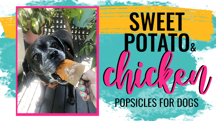 How to Make Chicken & Sweet Potato Dog Popsicles Your Dog Will Melt For