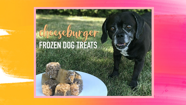 Cheese Burger Pops Frozen Dog Treat Recipe