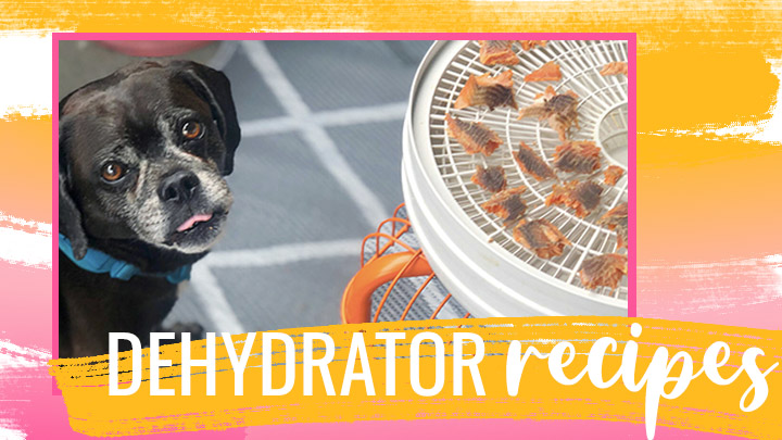 Dehydrator Dog Treat Recipes